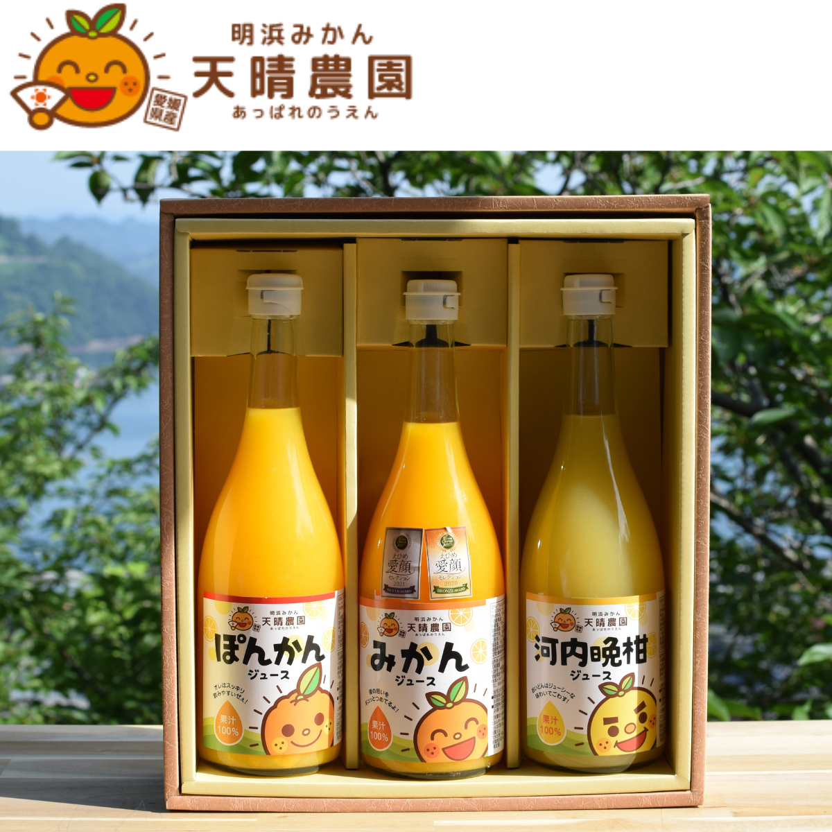 愛媛県産ぽんかんジュース 720ml 12本セット - ソフトドリンク