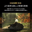 【アイリスオーヤマ】Google 液晶テレビ LT-65UGX-F1(65v型)