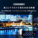 【アイリスオーヤマ】Google 液晶テレビ LT-65UGX-F1(65v型)