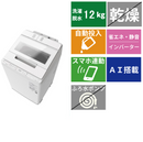 全自動洗濯機 BW-X120M(洗濯・脱水12.0kg)