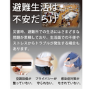 【 Land Field 】 避難用プライベートテント 天井ファスナー付 | LF-PST011-GY
