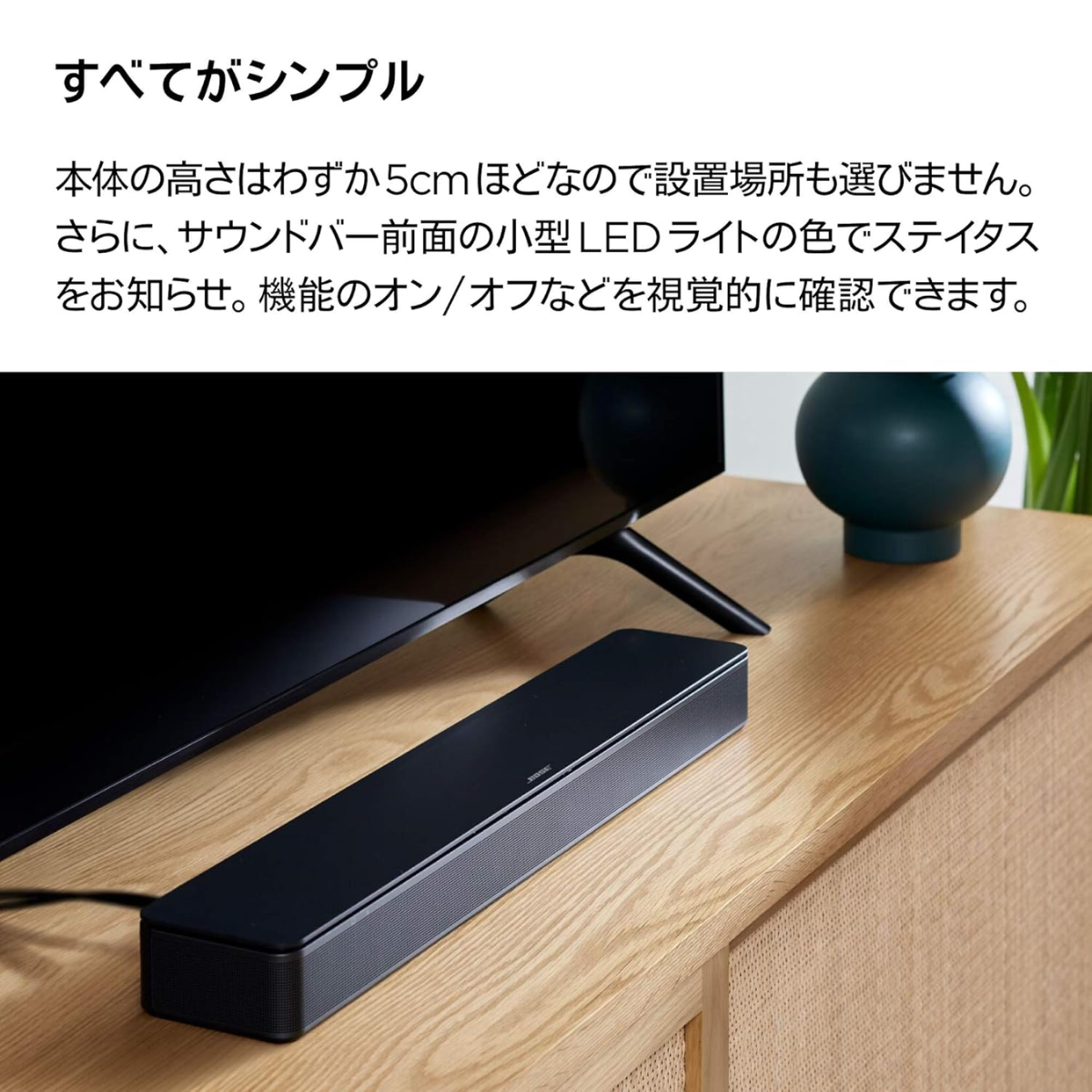 BOSE】テレビスピーカー Bose TV Speaker