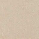 【サンゲツ】STYLE KIT+CUT 置くだけかんたんタイル型カーペット10枚セット