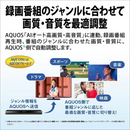 【SHARP】 ブルーレイディスクレコーダー 2TB 2B-C20GW1