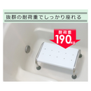 【 Sun Ruck 】 バスタブチェア | SR-SBC503