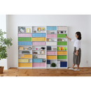 【お客様組立品】 高さ180cm幅90cm 文庫本500冊以上収納可能な本棚 FRM-0009