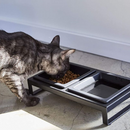 【tower】ペットフードボウルスタンドセット ホワイト ブラック 山崎実業 4206/4207