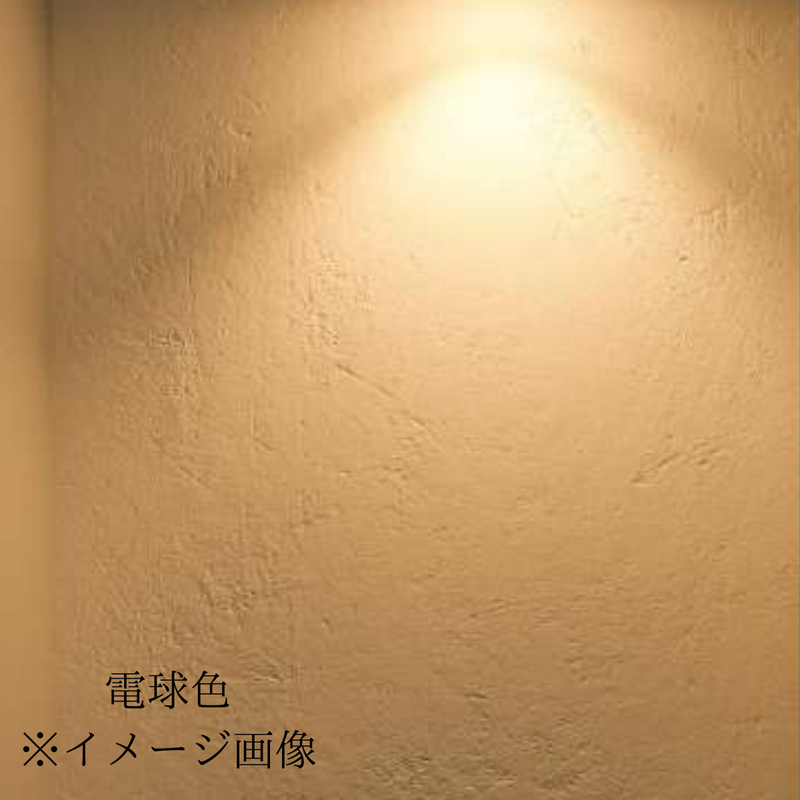 アイリスオーヤマ　4灯シーリングライト  CE4LA-20C（電球色）　