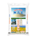 【令和8年産】無洗米　北海道産ななつぼし   2kg~15kg
