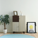 【お客様組立品】 Two-tone BOXシリーズ キャビネット FMB-0003