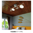 【在庫限定1点限り!】LED照明　GL4019RSWH