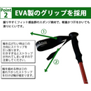 【 Land Field 】 トレッキングポール 2本セット | LF-TP020 ブルー(BL)／レッド(RD)