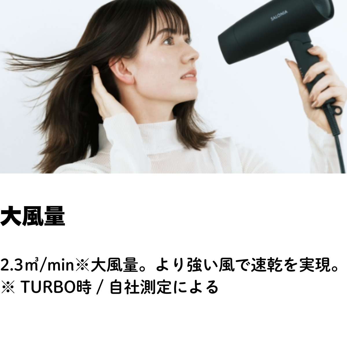 SALONIAスピーディーイオンドライヤーSL-013