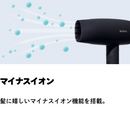 SALONIA スピーディーイオンドライヤー SL-013