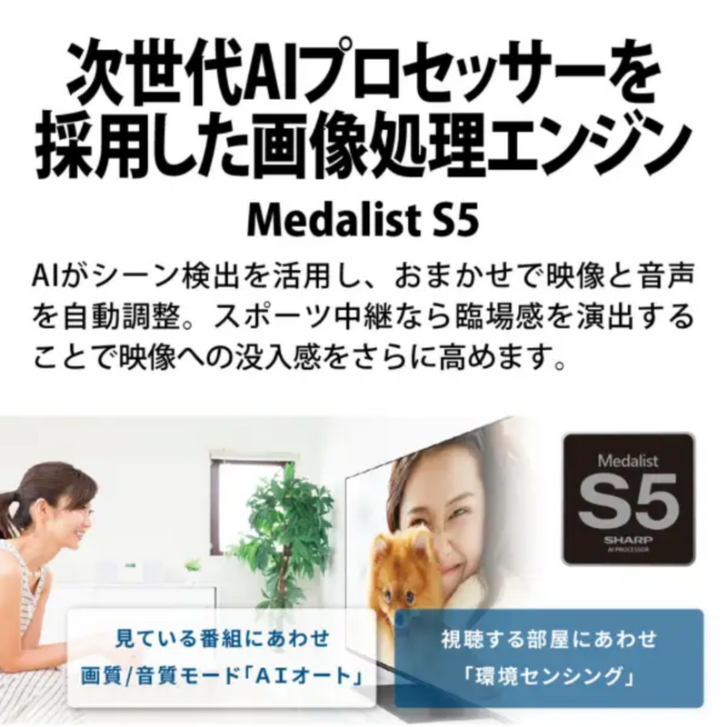 【限定販売3点限り！】【新品・未開梱】SHARP 有機ELテレビ 4T-C42GQ2  (42V型)