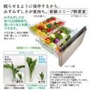 【限定販売1点限り！】【新品・未開梱】6ドア冷凍冷蔵庫　R-VWC50X (500L)