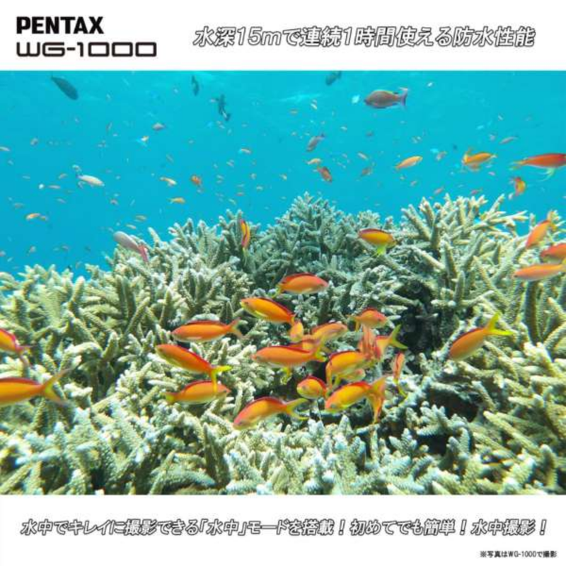 【PENTAX】防水+防塵+耐衝撃　コンパクトデジタルカメラ　WG-1000