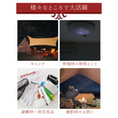 【 Land Field 】 オイルランタン Lサイズ | LF-OL020 ブロンズ(BZ)／レッド(RD)