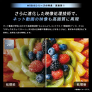 【REGZA】液晶テレビ レグザ 43M550S 43型