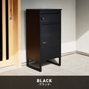 【お客様組立品】 郵便ポスト付き宅配ボックス LPS-4991