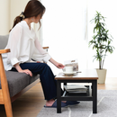 【お客様組立品】 ELVISシリーズ 幅80cm 奥行40cm ヴィンテージ風ローテーブル KKS-0018