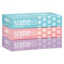 【ごあいさつギフト】 スコッティ ティシュー ファンセット（120組✕3箱）05091923
