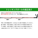 【 Land Field 】 トレッキングポール 2本セット | LF-TP020 ブルー(BL)／レッド(RD)
