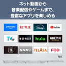 【限定販売1点限り！】【新品・未開梱】パナソニック 4K有機EL TH-65LW2  (65V型)