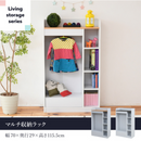 【お客様組立品】 Living Storageシリーズ 幅70cm 奥行29cm マルチ収納ラック FWD-0009