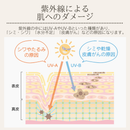 折りたたみ日傘 (超軽量・コンパクト設計)