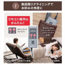 【アイリスオーヤマ】折りたたみ電動リクライニングベッド  シングルサイズ  OTB-FDN