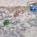 北欧スタイルシャギーラグ【ナズカ】