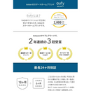 【ANKER】 セキュリティカメラ Eufy Solar Wall Light Cam S120