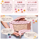 【BiOZERO 1】 ワンチーム365 美と腸のみかた 20包