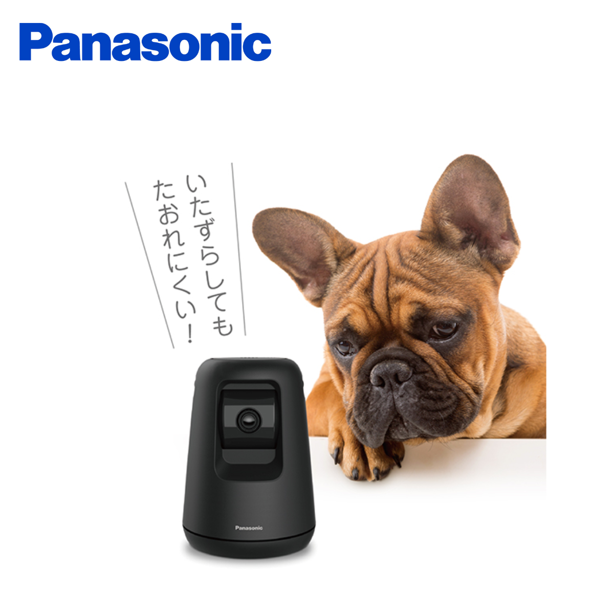PanasonicHDペットカメラ (ブラック)KX-HDN215-K PanasonicHDペットカメラ (ブラック)KX-HDN215-K
