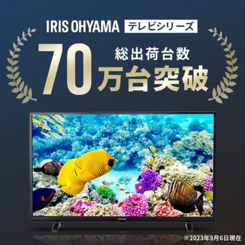 【アイリスオーヤマ】<br>ハイビジョンテレビ　32WB10PB