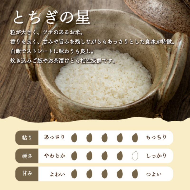 【令和7年産】無洗米　栃木県産とちぎの星 5kg~15kg