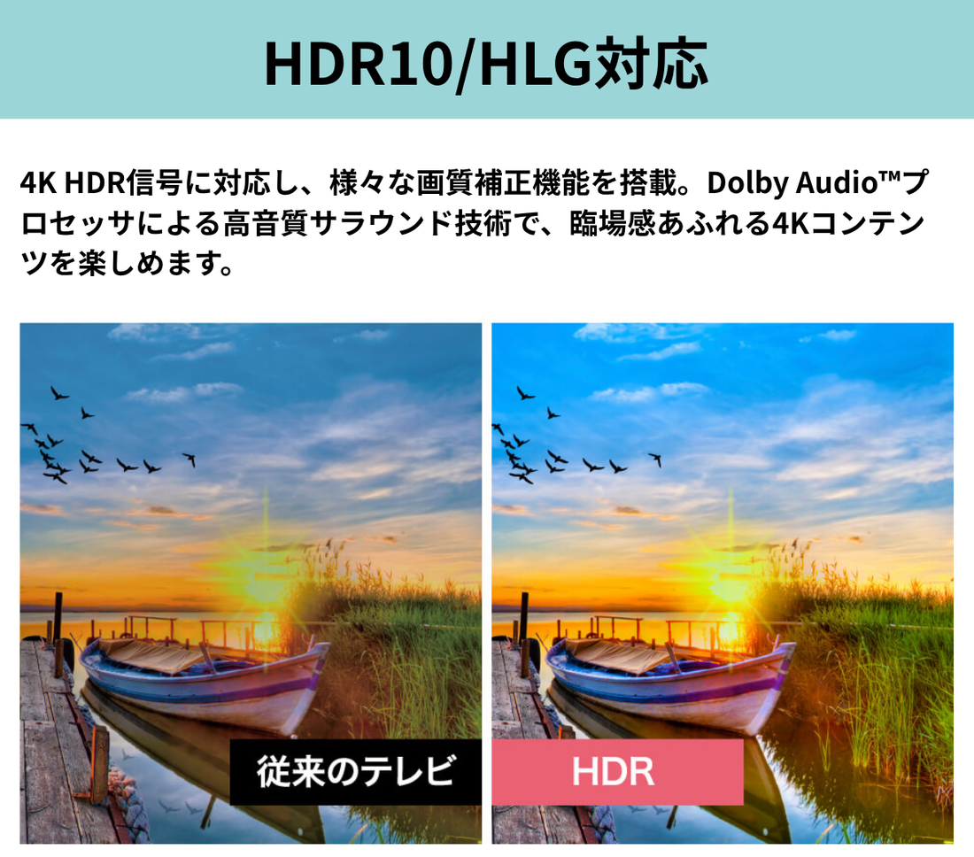ORION】スマートテレビ ハイビジョン 24型 OLS24WD10