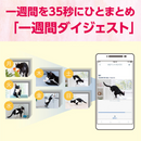 Panasonic HDペットカメラ （ブラック） KX-HDN215-K