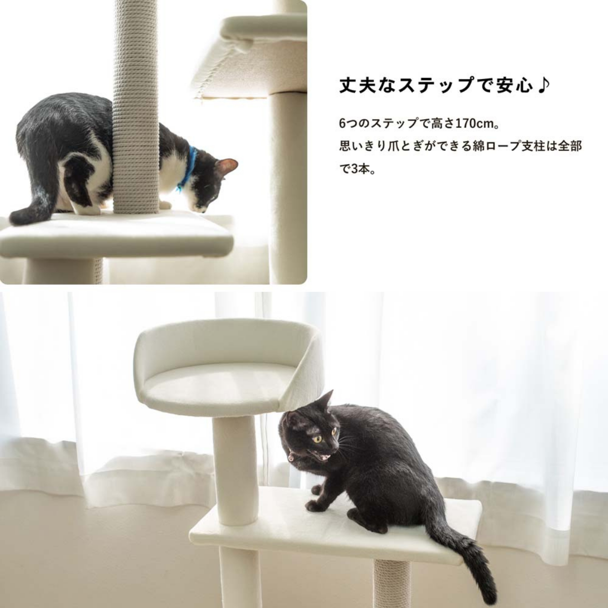 額入り61.0cm 立体壁掛け 仔猫達 (立体画)1154 【公式通販】 額入り61.0cm 立体壁掛け 仔猫達 (立体画)1154 【公式通販】