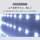 【アイリスオーヤマ】Google 液晶テレビ LT-43UGX-F1（43v型）