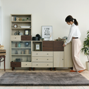 【お客様組立品】 Two-tone BOXシリーズ キャビネット FMB-0003