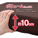 【アイリスオーヤマ】折りたたみ電動リクライニングベッド  シングルサイズ  OTB-FDN