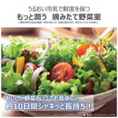【在庫限定1点限り！】東芝 5ドア冷凍冷蔵庫 GR-Y500GTM-NS(501L)