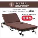 【アイリスオーヤマ】折りたたみ電動リクライニングベッド  シングルサイズ  OTB-FDN