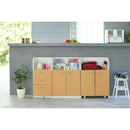 【お客様組立品】 扉付き3段 絵本棚 FDK-0001