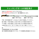 【 Land Field 】 トレッキングポール 2本セット | LF-TP010 ブルー(BL)／グリーン(GR)