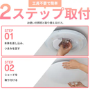 【アイリスオーヤマ】5.0Qシリーズプレーン/調光・調色タイプ～12畳 CEA12DL-7.0