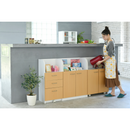 【お客様組立品】 扉付き3段 絵本棚 FDK-0001