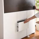 【お客様組立品】 LIving Storageシリーズ 学習デスク FWD-0278